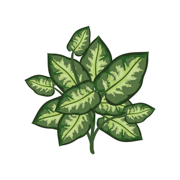 Planta hojas ilustración — Vector de stock