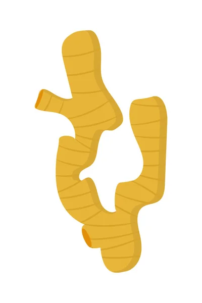 Yellow ginger branch — Stockvektor