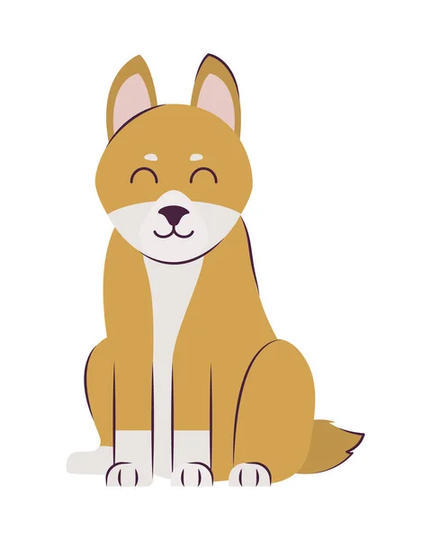 Corgi dog design — Stock Vector