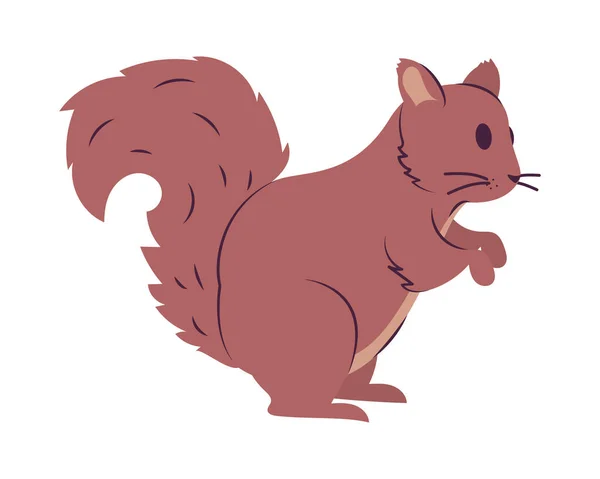 Brown squirrel design — Stock vektor