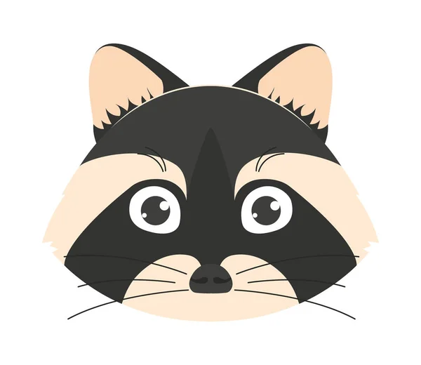 Cute racoon face —  Vetores de Stock