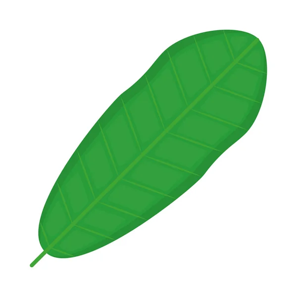 Cute leaf image — Stock Vector