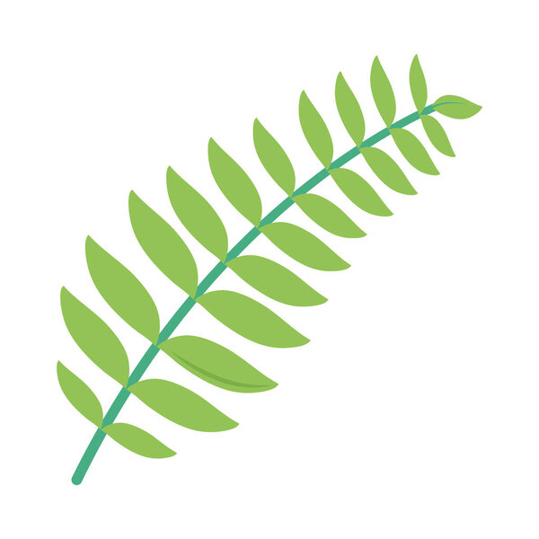 хороший дизайн растений