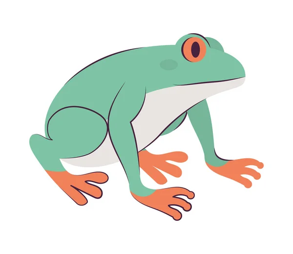 Conception grenouille verte — Image vectorielle