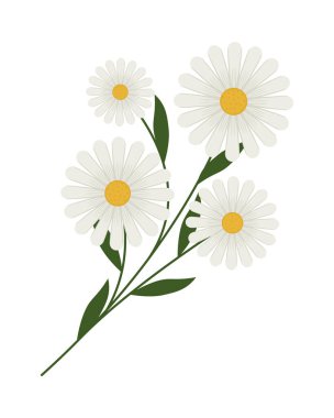 papatya dalı tasarımı