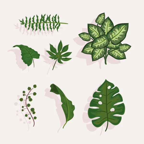 Seven leaves plants — Stock vektor