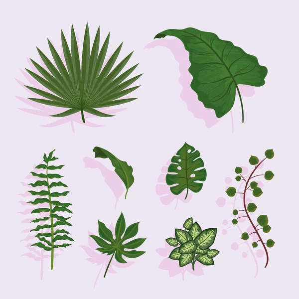 Acht grüne Blätterpflanzen — Stockvektor