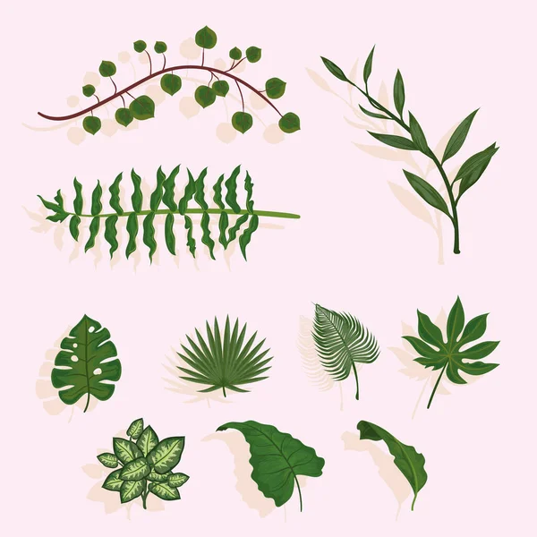 Ten leaves plants — Stock vektor