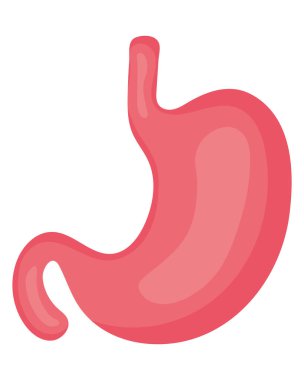 mide organ simgesi