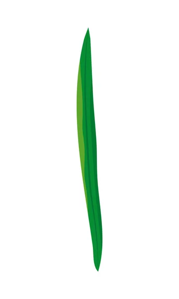 Long plant leaf — Stock vektor