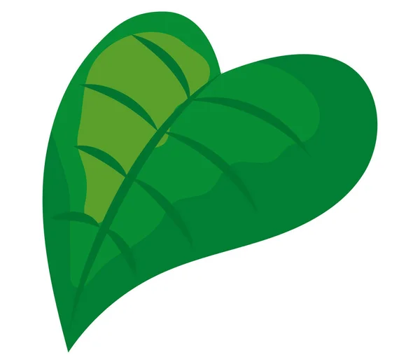 Plant leaf in heart shape — 图库矢量图片