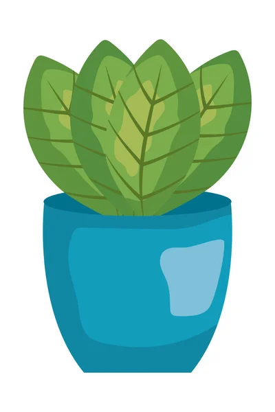 Beautiful plant icon — Stock Vector