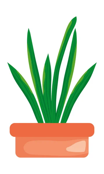 Aloe plant icon — стоковый вектор