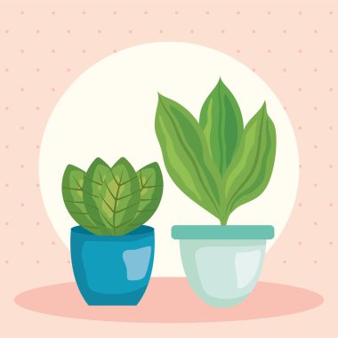 indoor home plants illustration