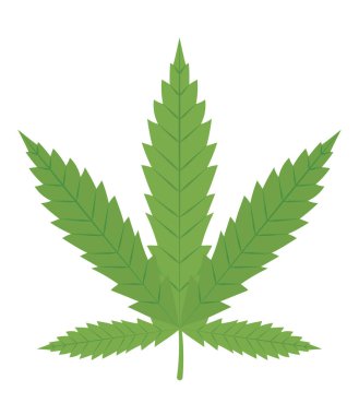 Yeşil kenevir yaprağı