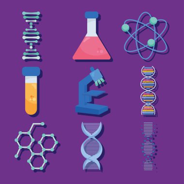 atom and dna