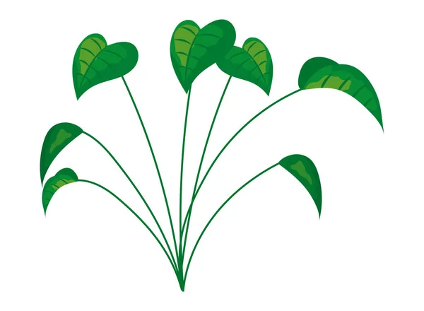 Icono de planta de pothos — Archivo Imágenes Vectoriales