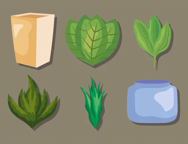 Plants and pots set — Vector de stock