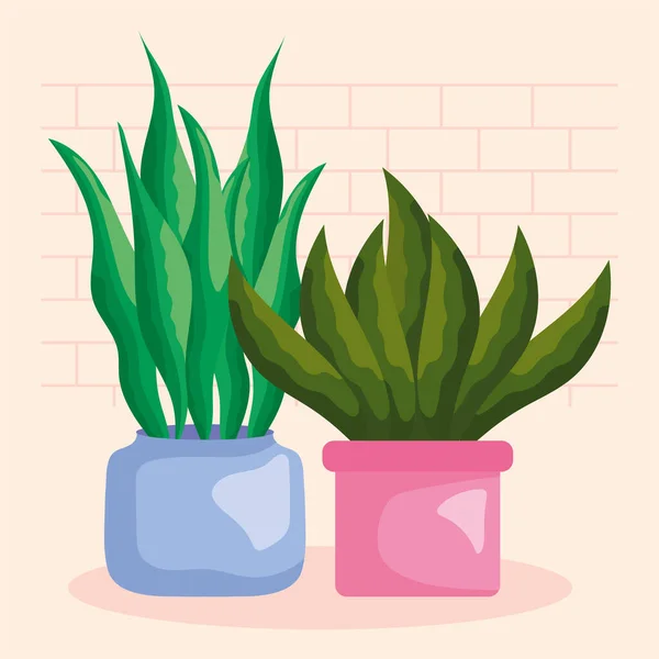 Decorative home plants illustration — Stockový vektor
