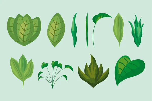 Indoor plants icon set — Vetor de Stock