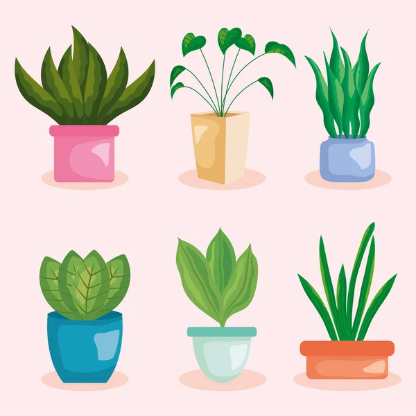 Decorative home plants set — 图库矢量图片