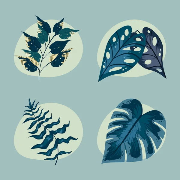 Quatre feuilles d'élégance — Image vectorielle