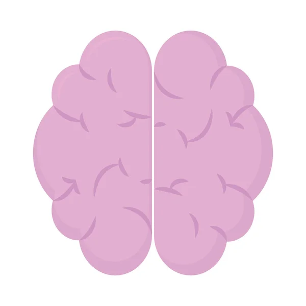 Menselijk brein icoon — Stockvector