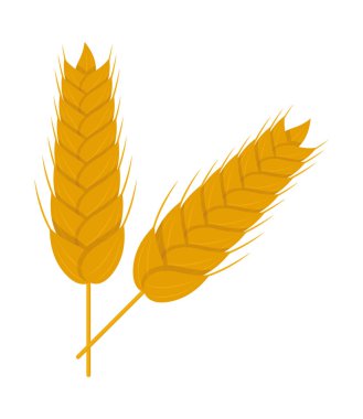 buğday kulağı simgesi