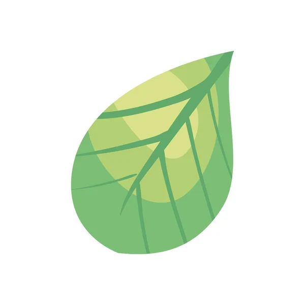 Yeşil yaprak illüstrasyonu — Stok Vektör