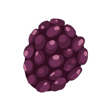 Mor üzüm illüstrasyon