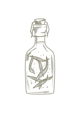 Zeytin yağı kavanozu tasarımı