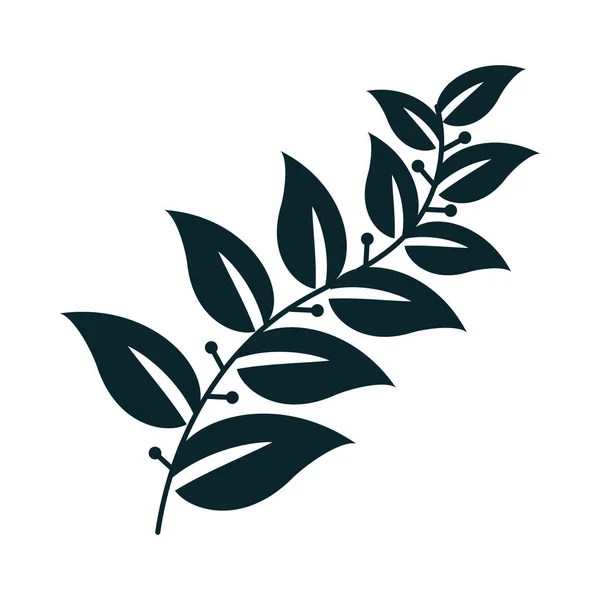 Листья на украшение ветвей — стоковый вектор
