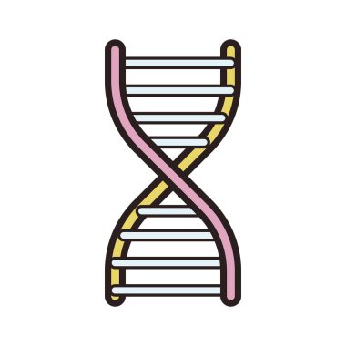 DNA sarmal tasarımı