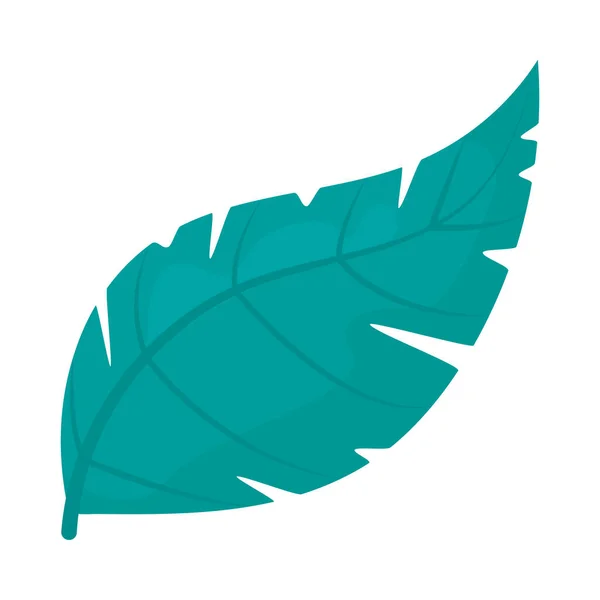 Ícone de folha azul-turquesa —  Vetores de Stock