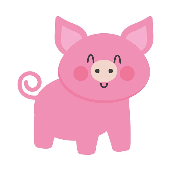 Cute pig icon — Stock Vector