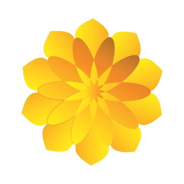 Altın kareem çiçeği