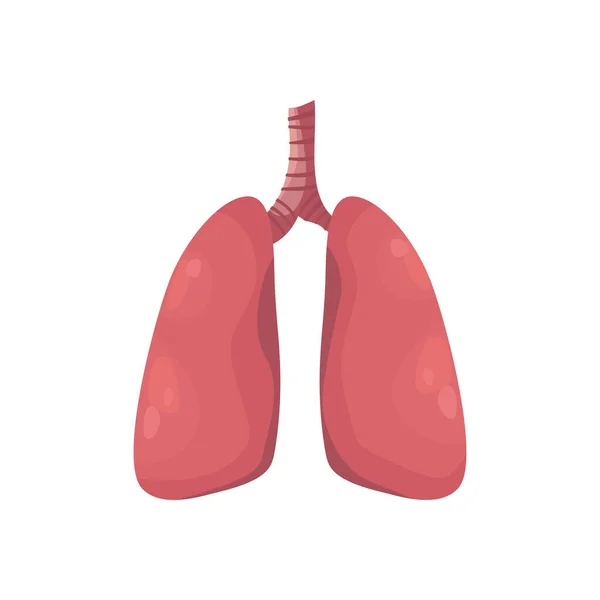 Diseño plano realista de los pulmones — Vector de stock