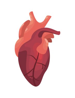 düz gerçekçi kalp tasarımı