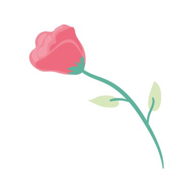 gül çiçeği tasarımı