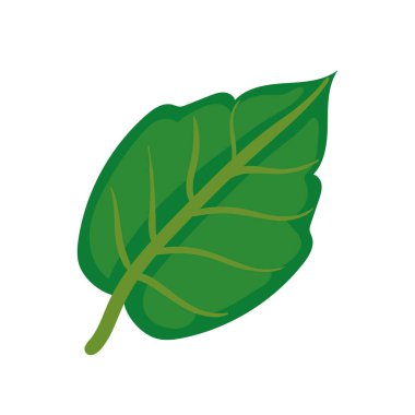 yeşil yaprak tasarımı