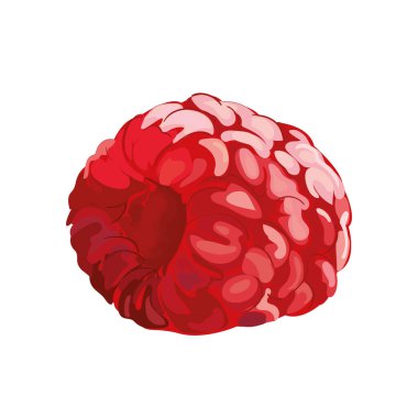 gerçekçi yaban mersini tasarımı