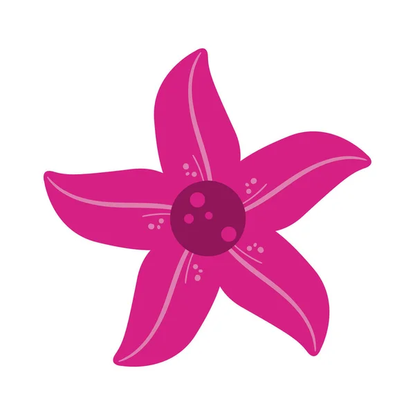 Diseño de flor rosa — Vector de stock