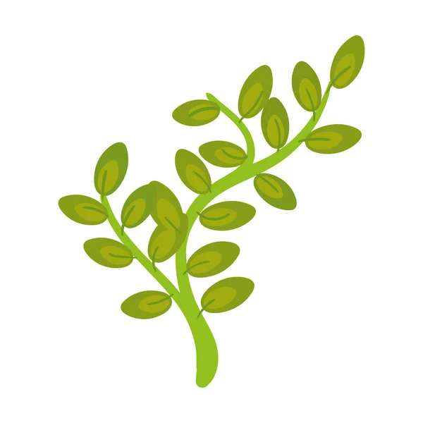 Green leaves branch — Stock Vector