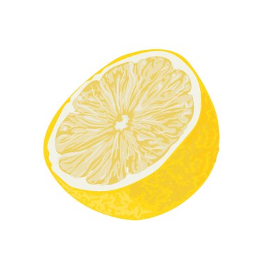 gerçekçi limon tasarımı