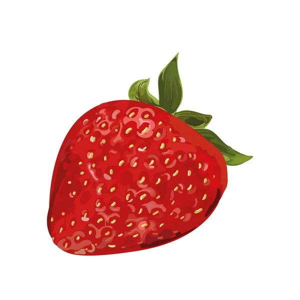 Design réaliste fraise — Image vectorielle