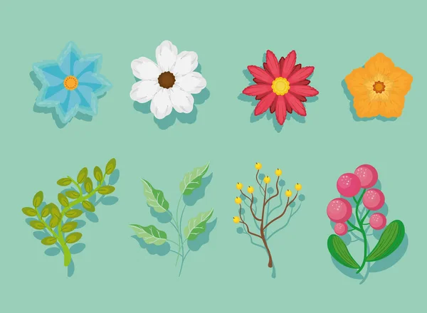 Huit plantes et fleurs — Image vectorielle