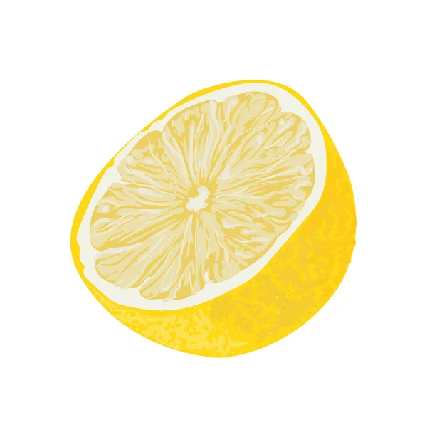 現実的なレモンデザイン — ストックベクタ