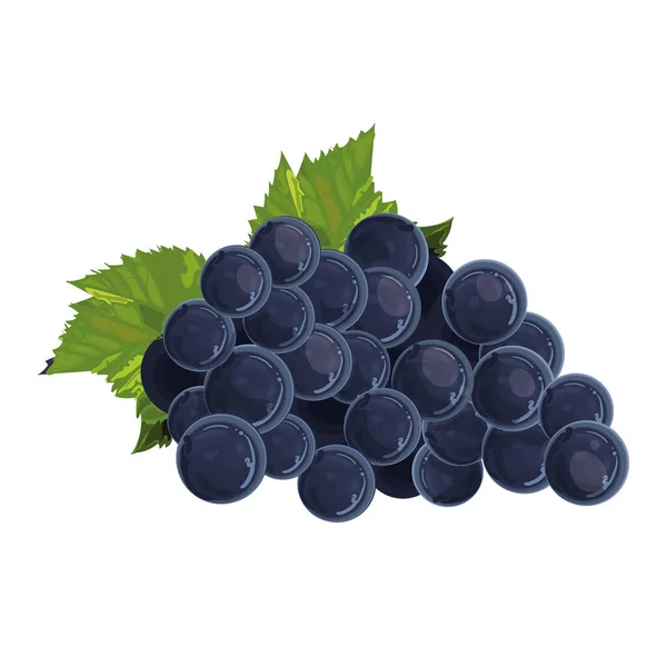 Realistyczna konstrukcja winogron — Wektor stockowy