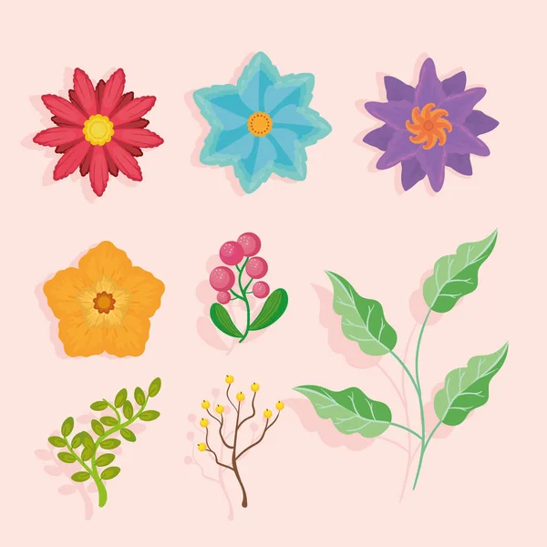 Oito flores e plantas — Vetor de Stock