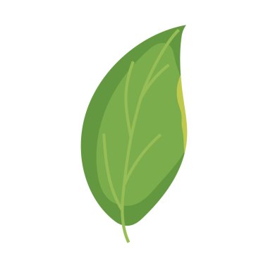 yeşil yaprak simgesi